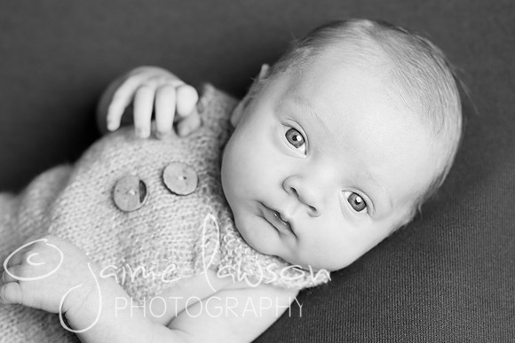 2018 Newborn Photo Session
