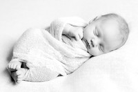 2018 Newborn Photo Session