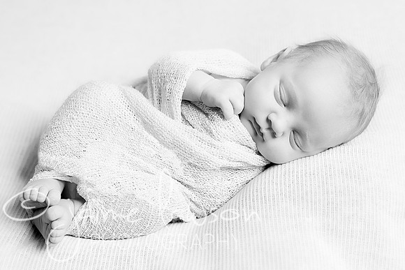 2018 Newborn Photo Session