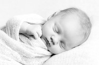 2018 Newborn Photo Session