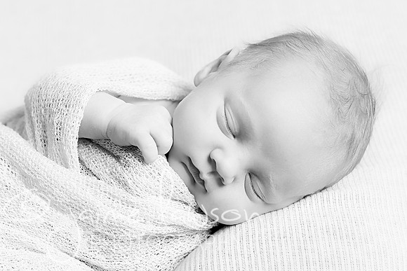 2018 Newborn Photo Session