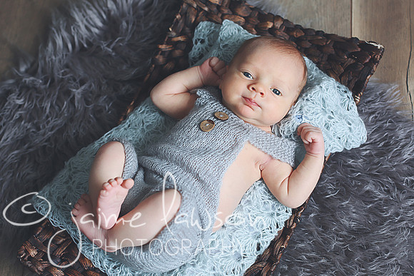 2018 Newborn Photo Session