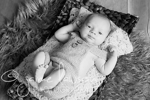 2018 Newborn Photo Session