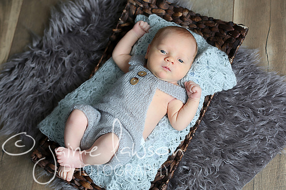 2018 Newborn Photo Session