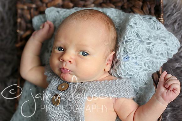 2018 Newborn Photo Session
