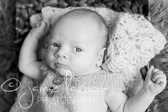 2018 Newborn Photo Session