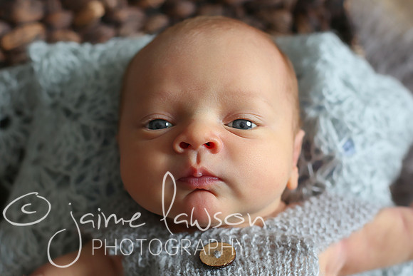 2018 Newborn Photo Session