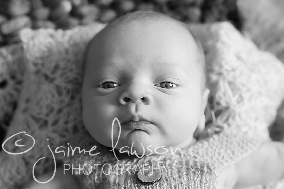 2018 Newborn Photo Session