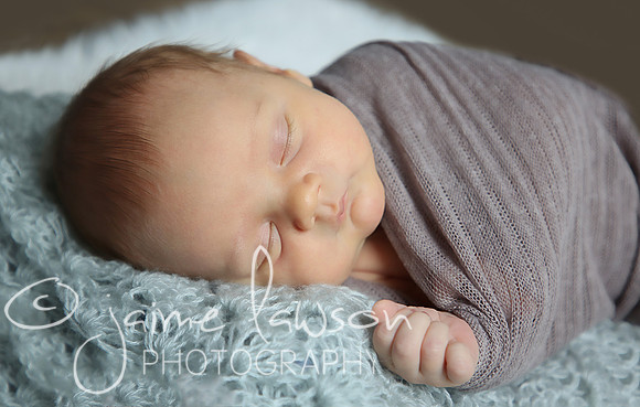 2018 Newborn Photo Session