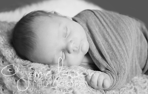 2018 Newborn Photo Session