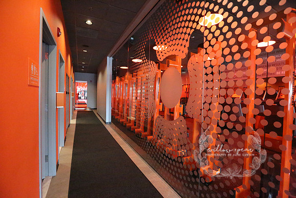 2018 Orangetheory Fitness Opening