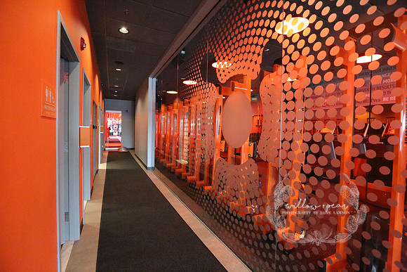 2018 Orangetheory Fitness Opening
