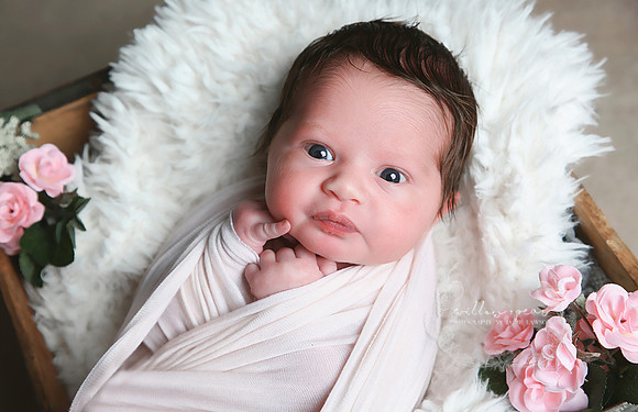 2018 Baby Eve Newborn Session