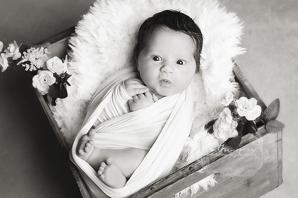2018 Baby Eve Newborn Session