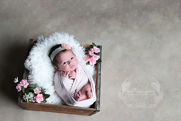 2018 Baby Eve Newborn Session