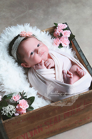 2018 Baby Eve Newborn Session