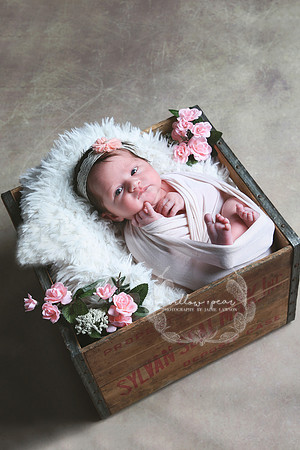 2018 Baby Eve Newborn Session