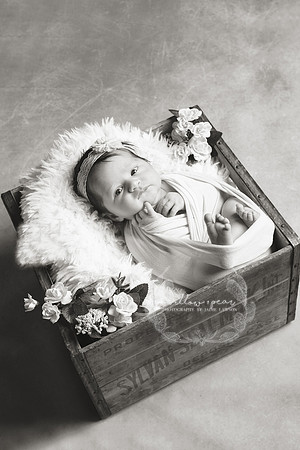 2018 Baby Eve Newborn Session