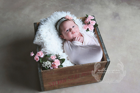 2018 Baby Eve Newborn Session