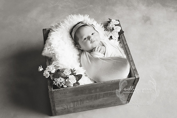 2018 Baby Eve Newborn Session