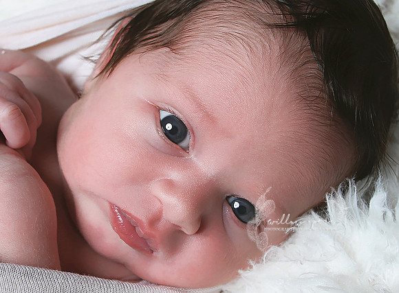 2018 Baby Eve Newborn Session