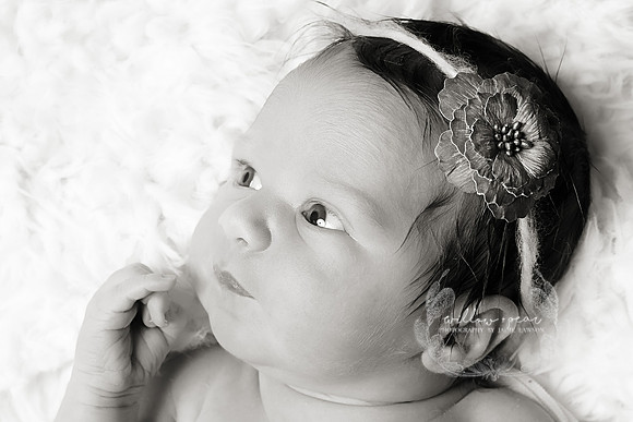 2018 Baby Eve Newborn Session