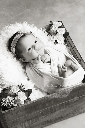 2018 Baby Eve Newborn Session