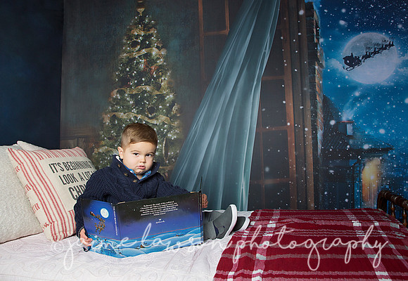 2018 Holiday Mini Session
