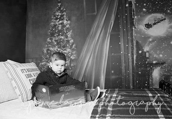 2018 Holiday Mini Session