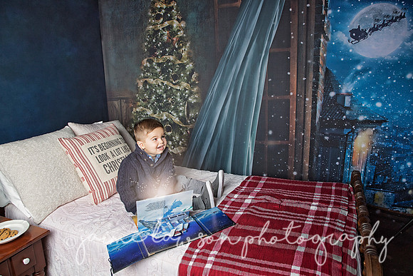 2018 Holiday Mini Session