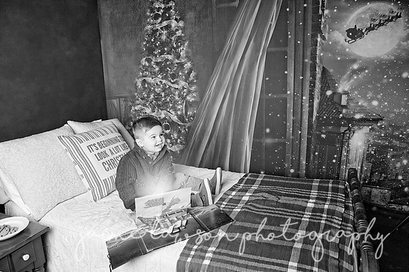 2018 Holiday Mini Session