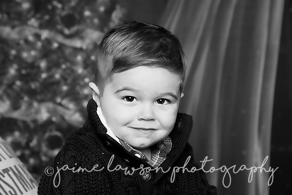 2018 Holiday Mini Session