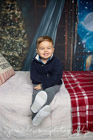 2018 Holiday Mini Session