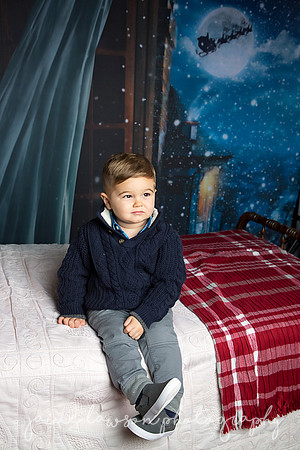2018 Holiday Mini Session