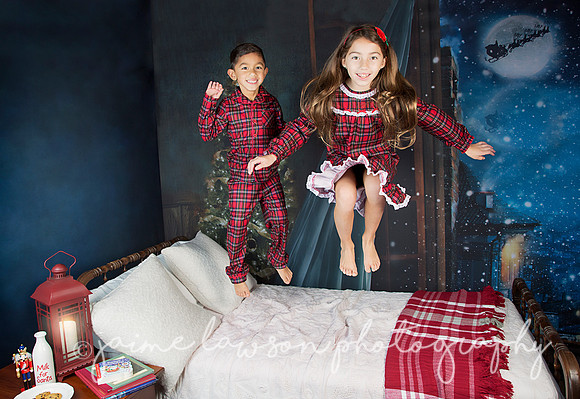 2018 Holiday Mini Session