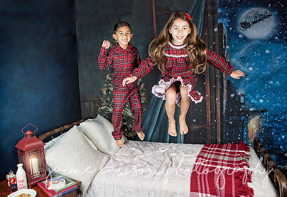 2018 Holiday Mini Session