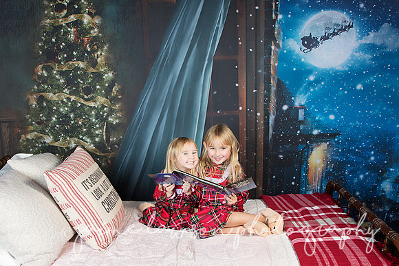 2018 Holiday Mini Session