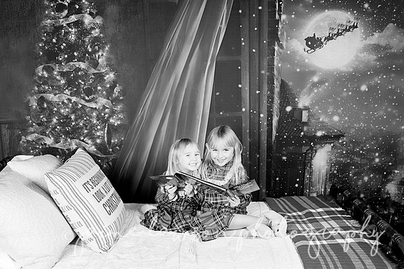 2018 Holiday Mini Session
