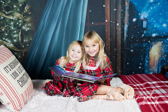 2018 Holiday Mini Session