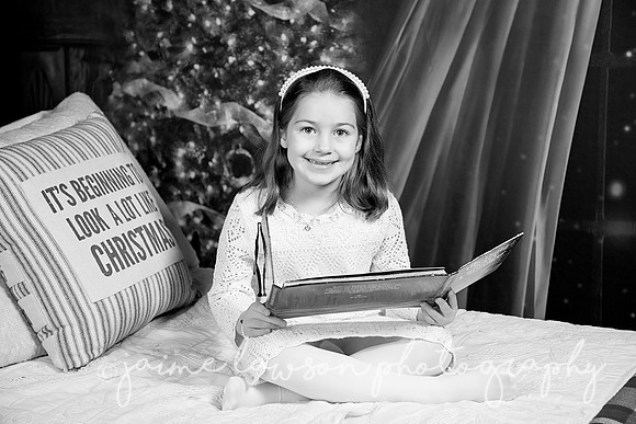 2018 Holiday Mini Session