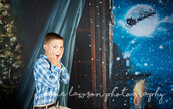 2018 Holiday Mini Session