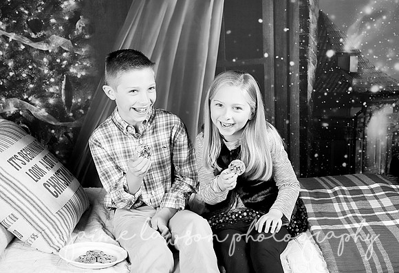 2018 Holiday Mini Session