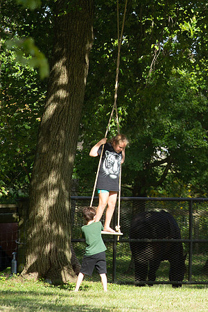2021 Logan 7th Birthday