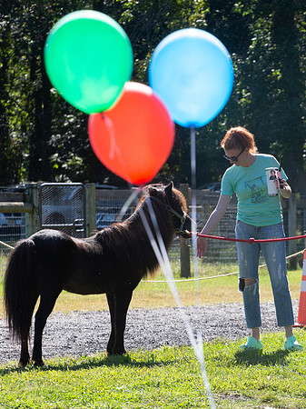 2021 Logan 7th Birthday
