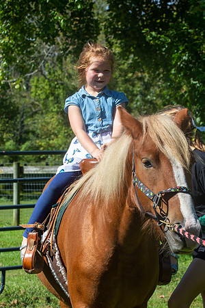 2021 Logan 7th Birthday