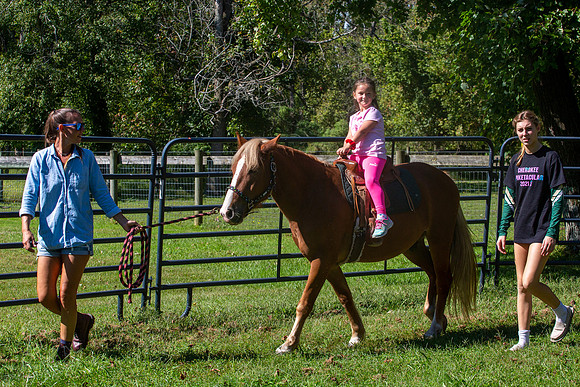 2021 Logan 7th Birthday