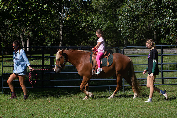 2021 Logan 7th Birthday