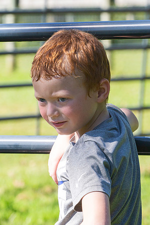 2021 Logan 7th Birthday