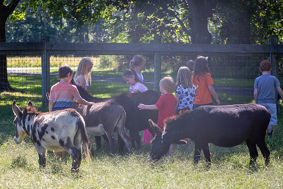 2021 Logan 7th Birthday