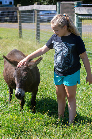 2021 Logan 7th Birthday